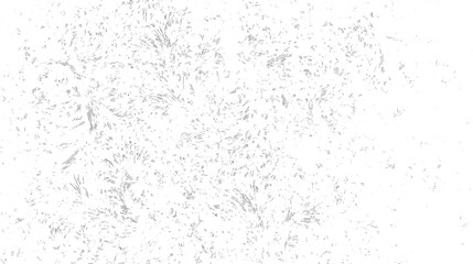 Poster - Decorative grunge swirl texture background. Fine chaotic stroke pattern on white backdrop for abstract and vintage design uses.