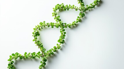 Poster - Arranging a closeup of green plant shapes indoor setting botanical photography minimalist environment macro view nature aesthetics