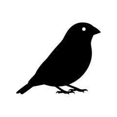 Poster - Black silhouette of a small finch bird vector illustration. Simple graphic icon of a songbird design element, silhouette