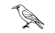 © G Abbbas - Minimal Crow Outline Vector – Clean Side View Bird Line Drawing