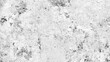 © Zahid - Transparent distressed white grainy texture with dust overlay textured Grainy noise particles and snow effect on a black background