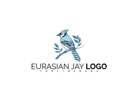 Blue Eurasian Jay Logo Design with Creative Vector Elements. Great for Nature Branding, Birdwatching Tour Identity, Outdoor Gear Packaging, and Eco Product Marketing.

