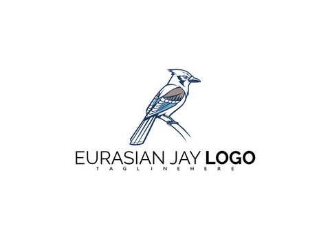 Elegant Eurasian Jay Logo Design with Modern Vector Lines. Perfect for Wildlife Logos, Bird Symbol Identity, Nature Storefronts, and Forest Label Design with Blue Jay Iconography.

