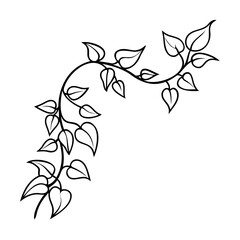 Poster - A vine with leaves in a corner arrangement on leaf plant