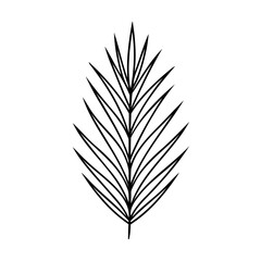 Poster - A stylized leaf with pointed edges on a leaves foliage