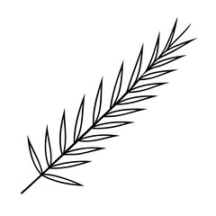 Poster - Outline a single palm leaf on a simple botanical element plant nature