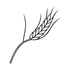 Poster - Outline a wheat stalk with leaves on a grain plant