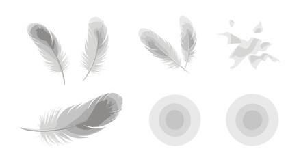 Poster - Illustration showing multiple white feathers and two oval shapes on a white background art piece