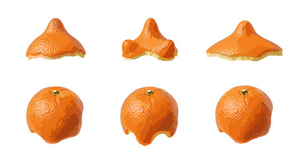 Poster - Six orange peel segments arranged in two rows on a white background in a studio setting view