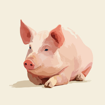 pig isolated in White Background, pig vector, Flat lay vector illustration