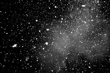 Wall Mural - Winter Wonderland: Real Snowflakes Glistening Against a Dark Night Sky Background for Abstract Design Elements