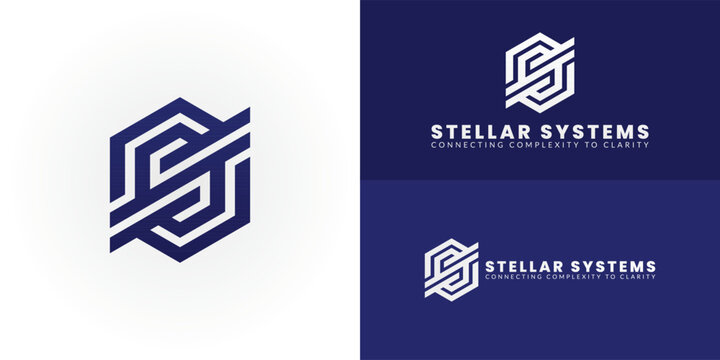 Modern tech logo featuring a geometric SS monogram. The interconnected lines and hexagonal shapes symbolize data flow and innovative solutions, making it ideal for a contemporary tech consultancy.