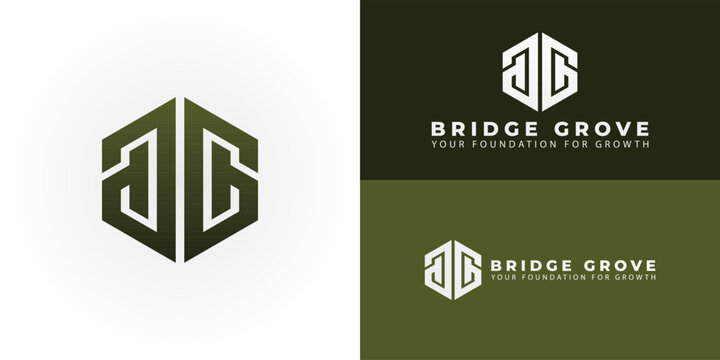 A modern geometric BG monogram within a hexagon emblem, ideal for a real estate or construction company. It symbolizes stability and growth.