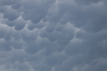 Wall Mural - Rain clouds in the sky