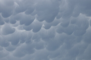 Wall Mural - Rain clouds in the sky