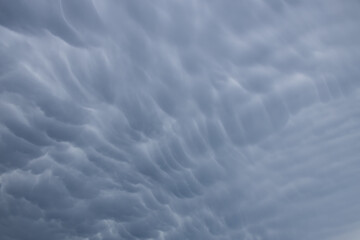 Wall Mural - Rain clouds in the sky