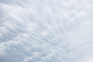 Wall Mural - Rain clouds in the sky