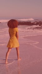 Poster - Composite video of chinese flag against rear view of african american woman walking on the beach