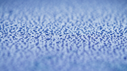 Wall Mural - Water drops on blue background. Water drops on the glass surface.
