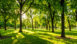 © MZR - Sunlit Green Forest Landscape with Lush Trees and Grass