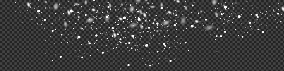 Wall Mural - Vector snowfall isolated. Winter background. Snow overlay illustration. Snowflakes and ice.