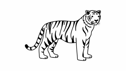 Poster - A black and white line drawing of a tiger standing on a white background looking to the right side created with generated ai