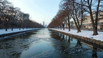 Wall Mural - trees are standing on the side of a river in the snow