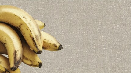 Poster - Ripe Bananas Displayed on Natural Linen Fabric With a Neutral Background Emphasizing Their Yellow Hues and Fresh Appearance