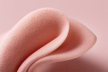 Aufkleber - Soft pink textured surface macro, minimal abstract background with gentle curves and calm light, evoking serene and delicate feeling in close up composition