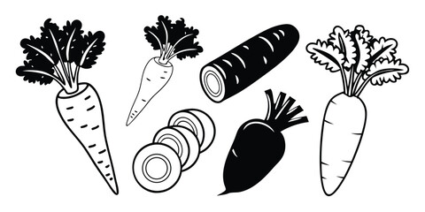 Aufkleber - Carrot and Fruit Icon Set with Four Variations Vector Illustration on transparent background