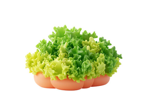 Stylized 3D Lettuce on a Bun on Transparent Background