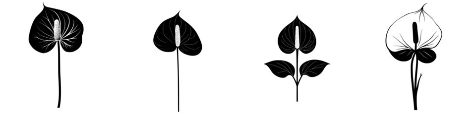 Poster - Four unique black floral icons showcasing different shapes and designs for graphic use or artistic projects