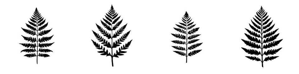 Poster - Detailed representation of four black fern leaf silhouettes on a clean white background
