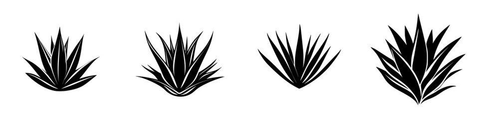 Poster - Illustration of black icons representing agave plants in various stages of growth arranged in a linear fashion