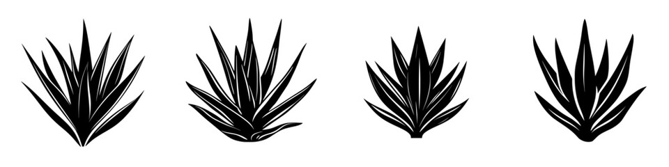 Poster - Stylized black icons of agave plants arranged in a row showcasing unique leaf shapes and designs