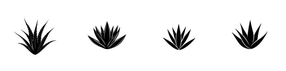 Poster - Black icon collection of aloe vera plants on a white background showcasing various shapes and styles for design elements