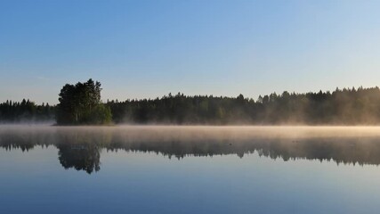 Wall Mural - morning mist on a water surface. beautiful lake scenery during summer morning. video shot in finland