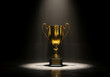 © MUHAMMAD - Glowing Gold Trophy on Velvet Podium with Dramatic Spotlight and Subtle Bokeh, Award for Achievement, Victory, Championship, Success Symbol in Elegant Lighting and Premium Prize Presentation Concept