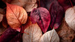 © Davy - closeup of vibrant autumn leaves in rich red and orange tones with dry textures and moody lighting