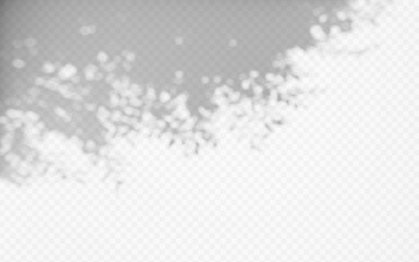 Wall Mural - shadow overlay from a tree branch isolated on a transparent background.