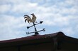 © Iwona - Close up of weathervane, also known as a wind vane or weathercock on roof