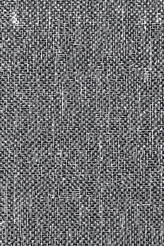 Abstract Texture Pattern of Black and White Lines Creating a Complex Visual Design