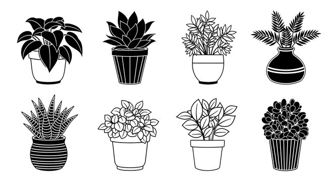 Potted Plants Line Art Collection Elegant Minimalist Botanical Illustration for Home Decor and Design Projects
