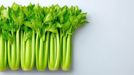 Poster - Top view of fresh celery sticks laid out neatly on a white background with clean empty space