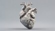 © Dina - 3D model of a detailed human heart, light gray