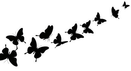 Poster - Elegant monochrome design featuring a swarm of butterflies gracefully taking flight