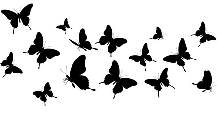 Poster - Elegant silhouette of butterflies gracefully fluttering across a pristine white canvas