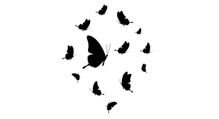 Poster - Elegant butterflies silhouette design in monochrome black and white, isolated flying insects