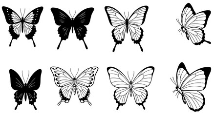 Poster - Black and white butterfly illustrations for graphic design and nature inspired projects