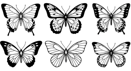 Poster - Detailed Black and White Butterfly Vector Illustrations for Design and Decoration Projects